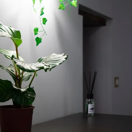 Gregorius Chiringuito Apartment